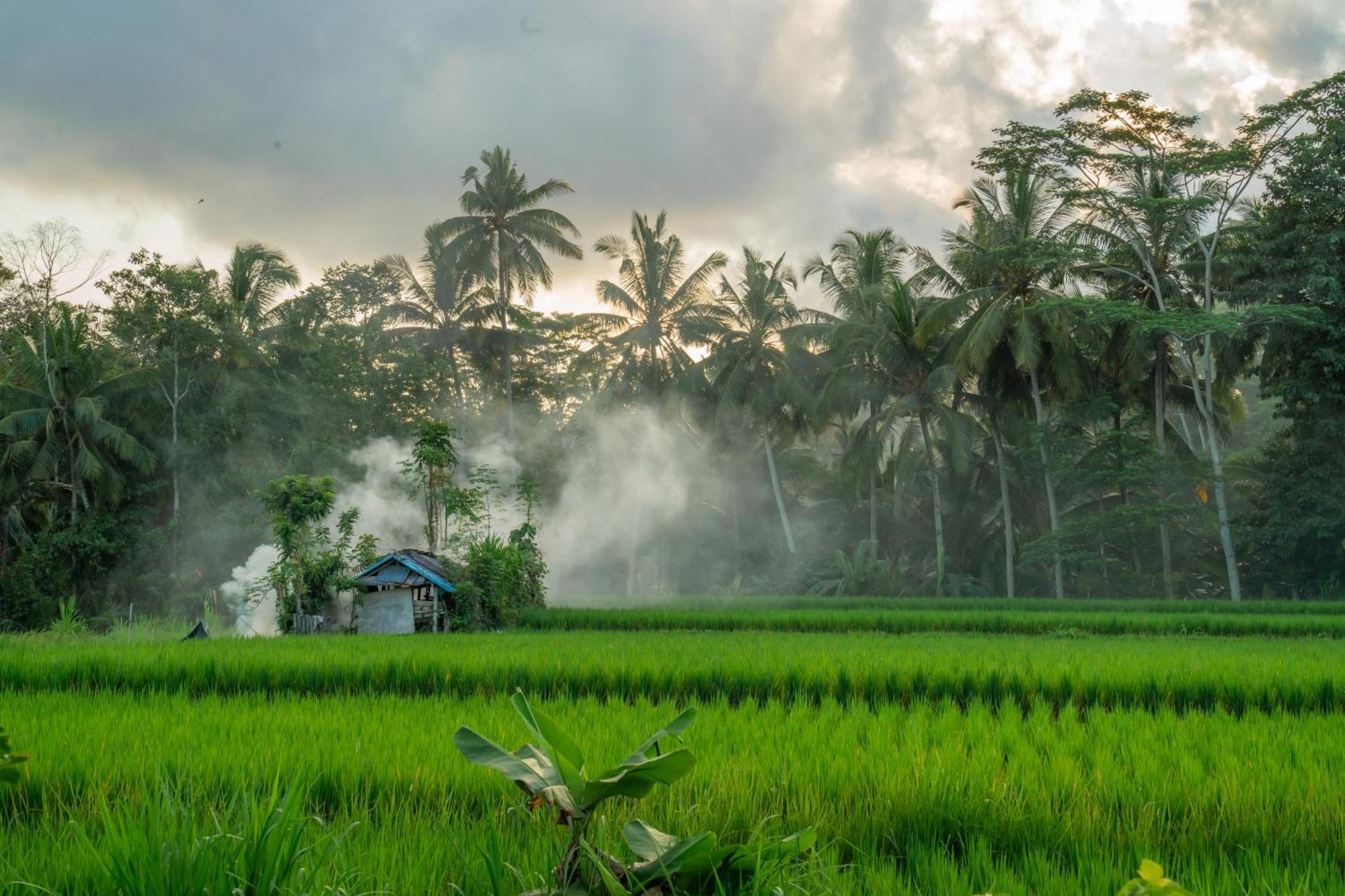 Kampung Uma Dawa Villas And Spa Ubud Exteriör bild