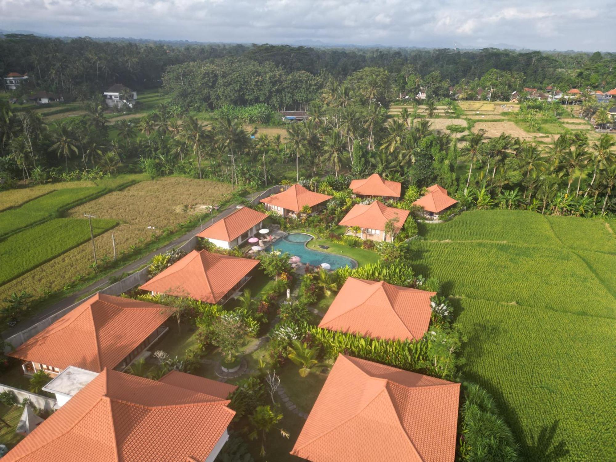 Kampung Uma Dawa Villas And Spa Ubud Exteriör bild