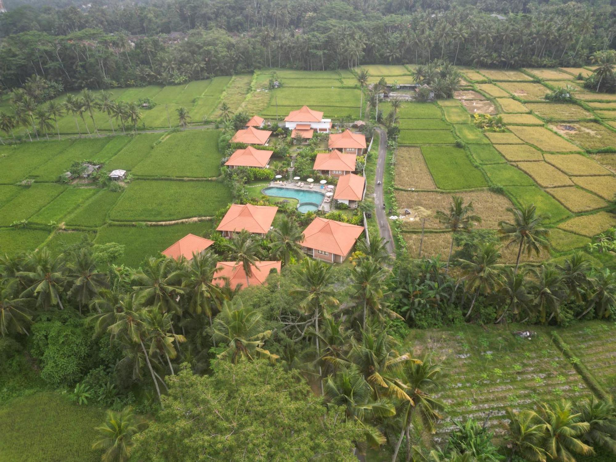 Kampung Uma Dawa Villas And Spa Ubud Exteriör bild